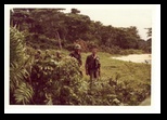 Koh Tang Mayaguez courtesy Jim Daviz Colf Company Commander 1975